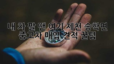 내 차 팔 땐 여기! 제천 송학면 중고차 매입 견적 💯꿀팁