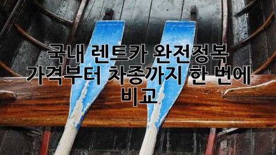 🚗 국내 렌트카 완전정복! 가격부터 차종까지 한 번에 비교 😎